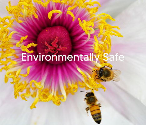 Environmentally Safe